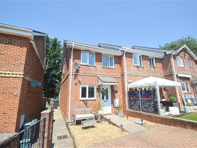 Picture 20